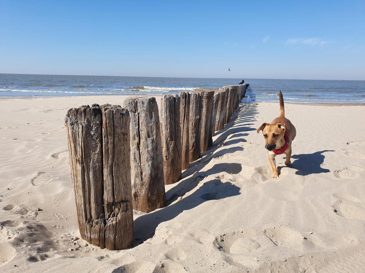 Bonnies Beach & Spa Duinnest Cadzand Eksteriør billede